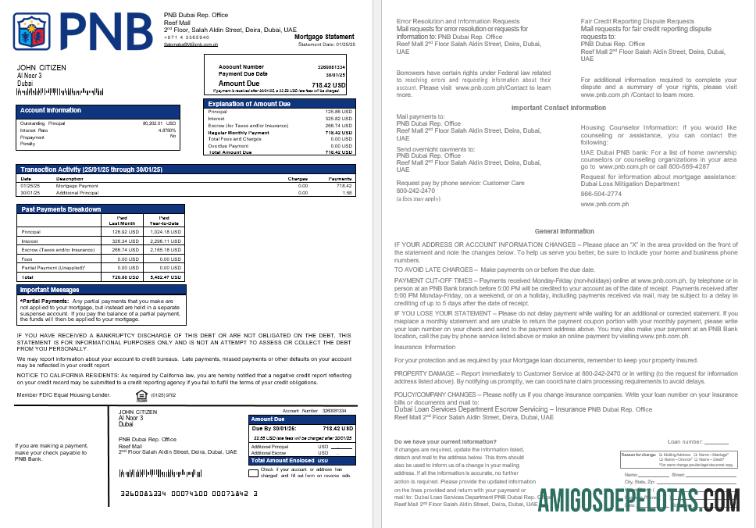 Extrato de hipoteca bancária dos Emirados Árabes Unidos Dubai PNB em formatos Word e PDF baixar para verificação